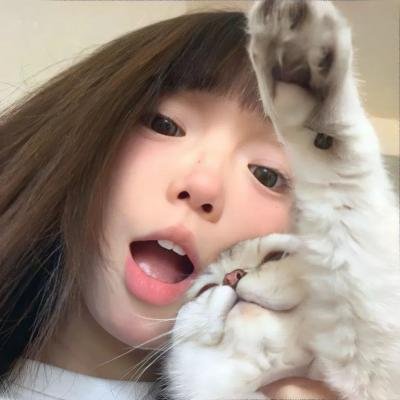 禁止入内的鼹鼠